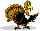 How The Turkey Got Its Name